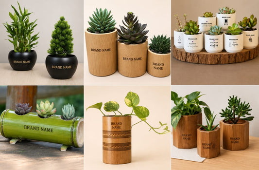 Interior plant pots